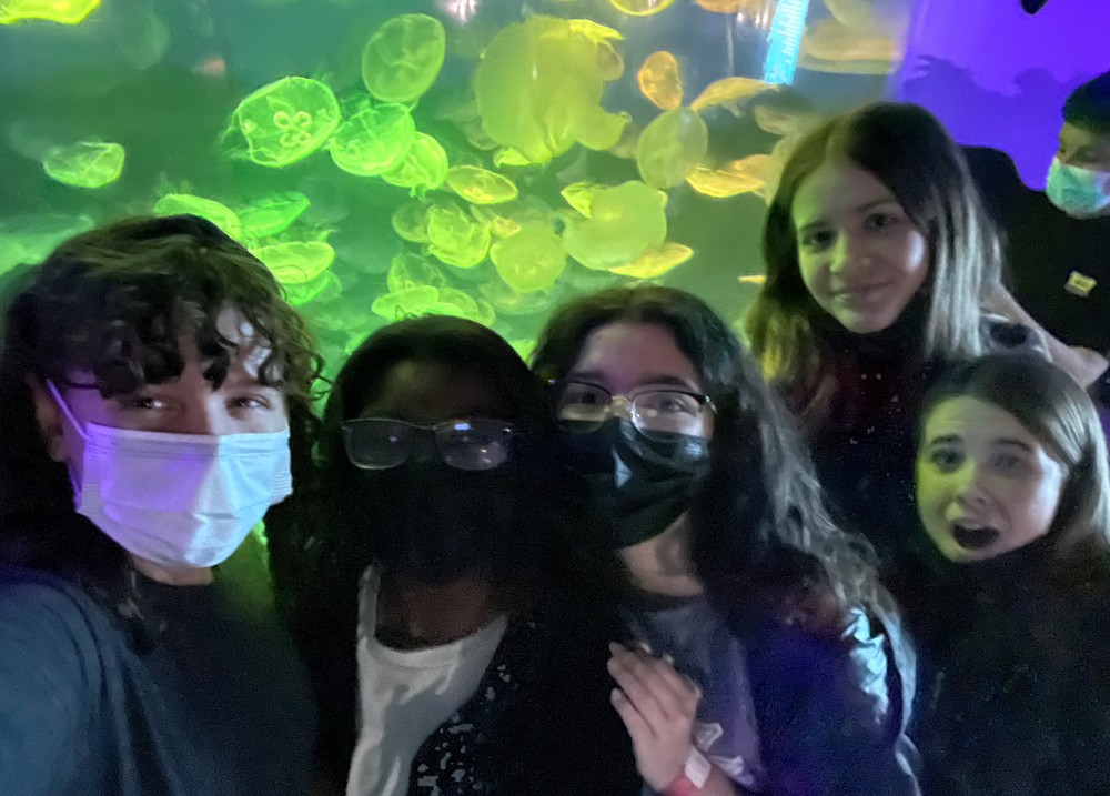 aquarium