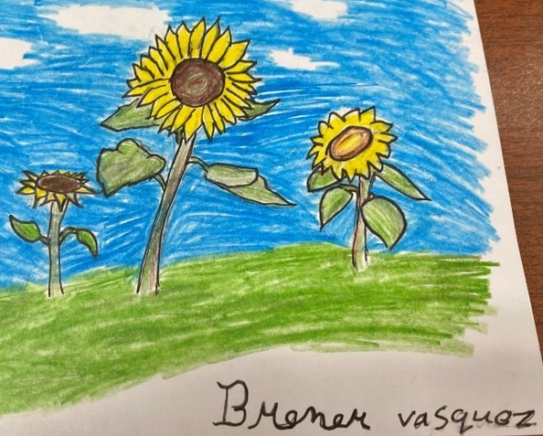 jefferson sunflowers