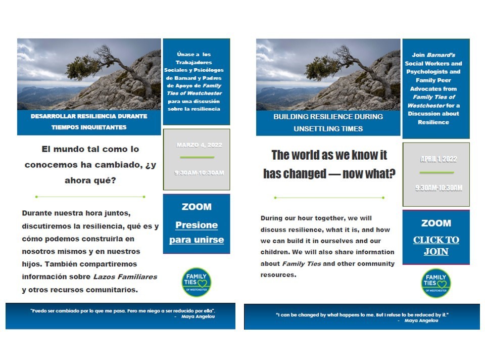 Resilience Workshop Flyers