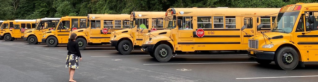 Some of our school district's buses.